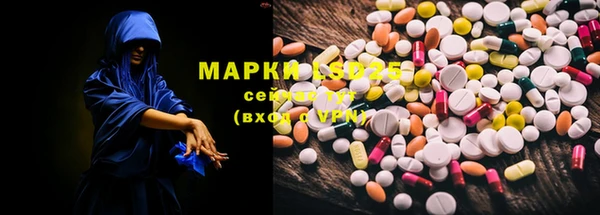 гидра Абаза