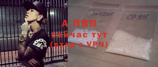 стаф Абинск
