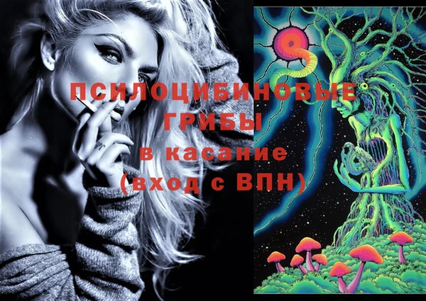 гидра Абаза