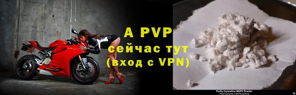 стаф Абинск