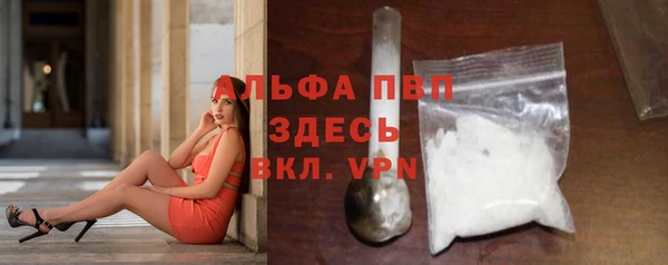 гидра Абаза