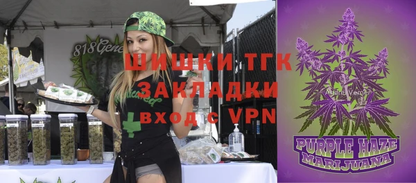 гидра Абаза