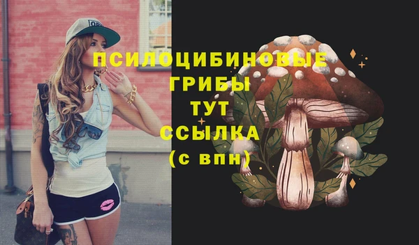 стаф Абинск