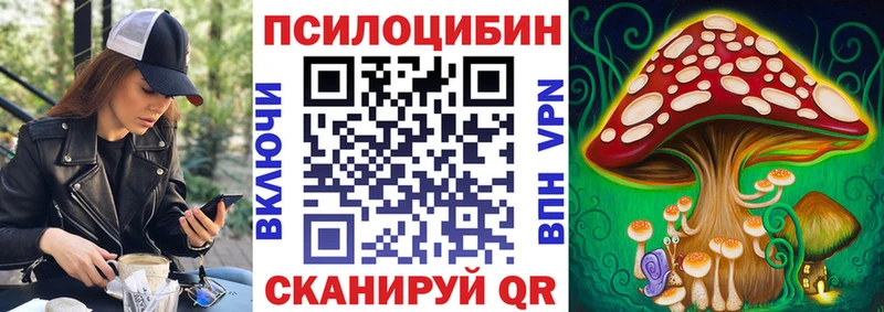 где можно купить наркотик  Адыгейск  Галлюциногенные грибы MAGIC MUSHROOMS 
