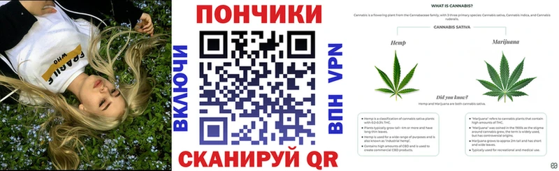 MEGA ТОР  сколько стоит  Адыгейск  Бошки Шишки THC 21% 